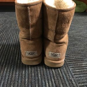 Chestnut Uggs